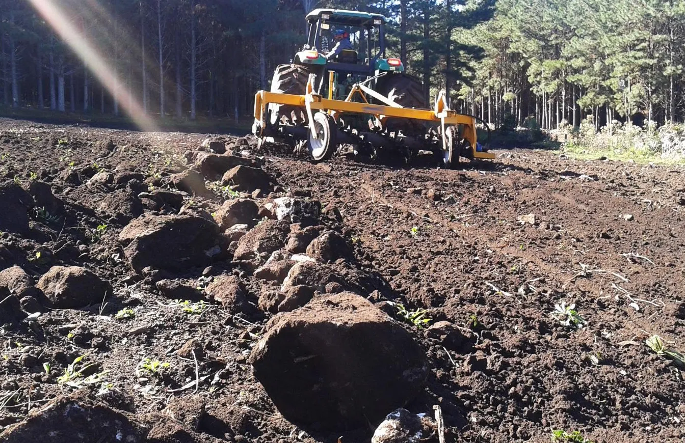 Rock Rake for Tractor