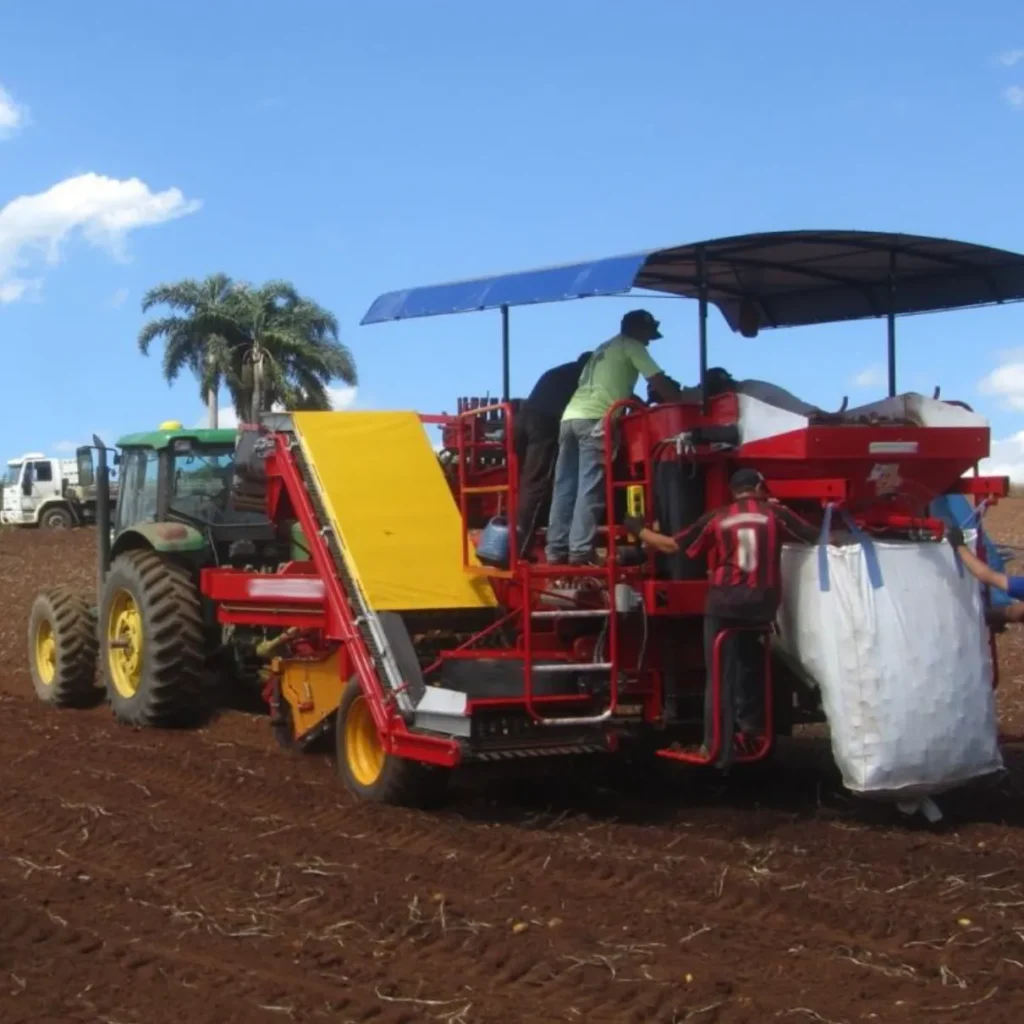 Colhedora de batatas para trator